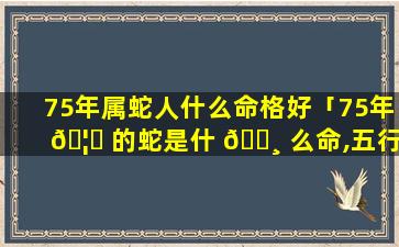 75年属蛇人什么命格好「75年 🦄 的蛇是什 🌸 么命,五行属性」